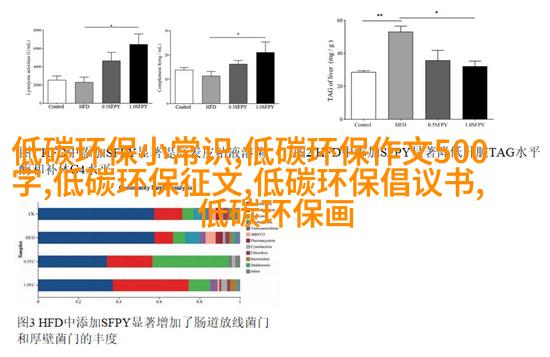 转换后的地毯边框